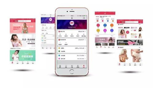 產業互聯網時代,垂直b2b平臺制勝